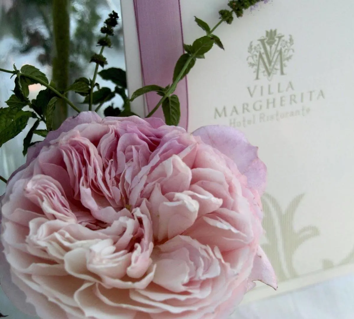 Hotel Villa Margherita Quercianella